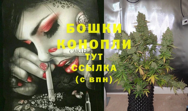 МДПВ Арсеньев