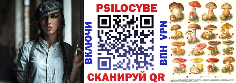 магазин продажи наркотиков  Кирово-Чепецк  Галлюциногенные грибы Cubensis 