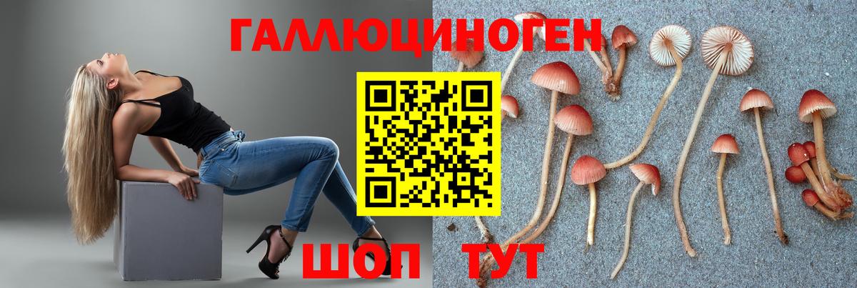 Галлюциногенные грибы мицелий  Псилоцибиновые грибы прущие грибы  Вход с VPN  Кирово-Чепецк 